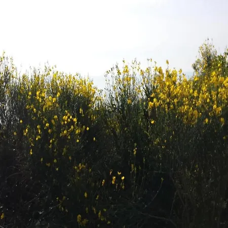 In Liguria Near Toirano Caves *